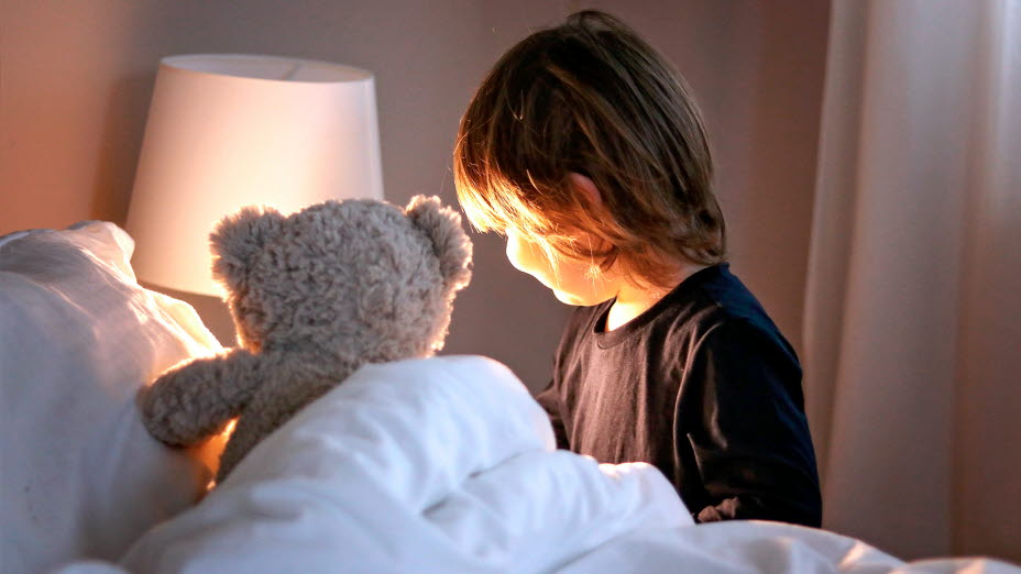 Dreng Med Bamse 2