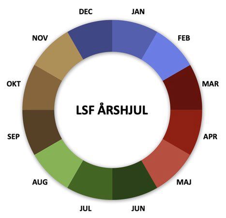 Aarshjul